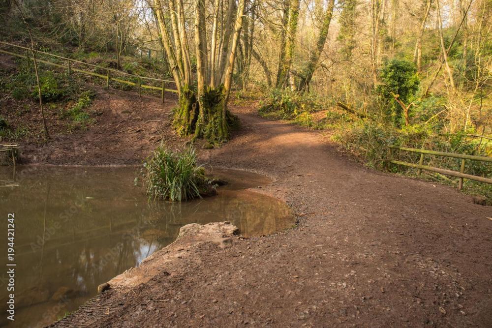 Villa Peaceful Woodland Retreat Near Clifton, Bristol Esterno foto